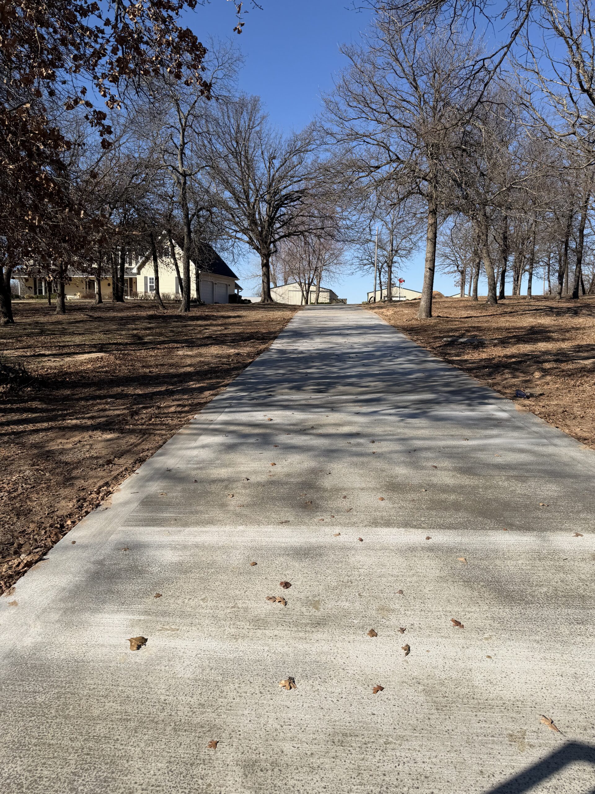 Concrete driveway lined with leafless trees